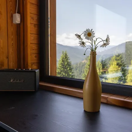 Chalet Haita Land Vatra Dornei